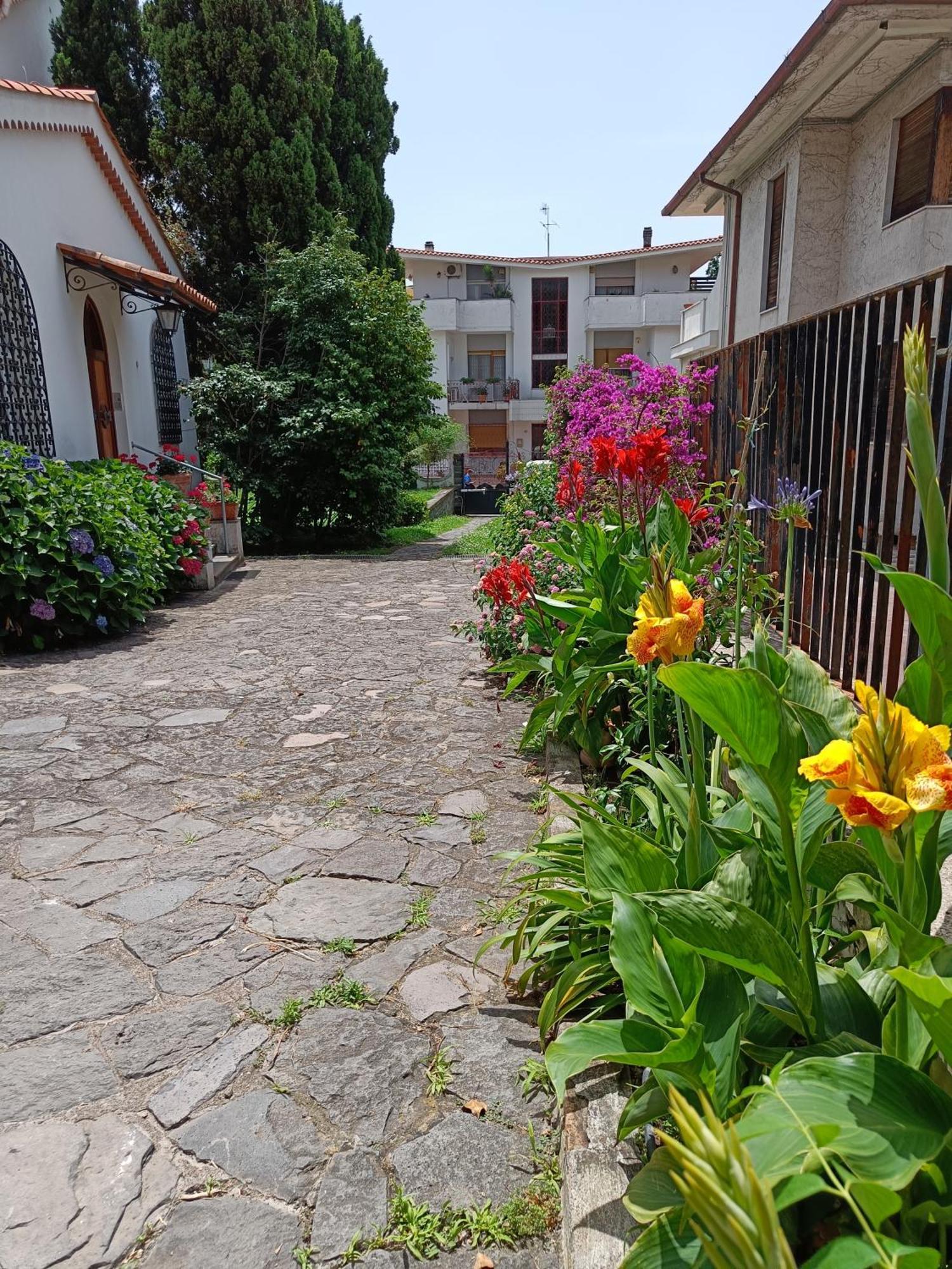 Casa Olivella Apartment ตอร์เรเดลเกรโค ภายนอก รูปภาพ