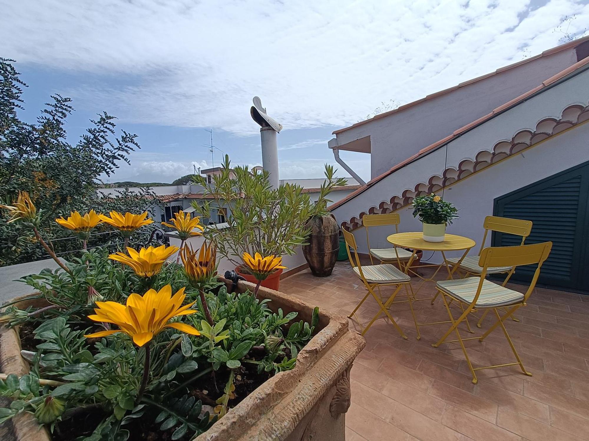 Casa Olivella Apartment ตอร์เรเดลเกรโค ภายนอก รูปภาพ
