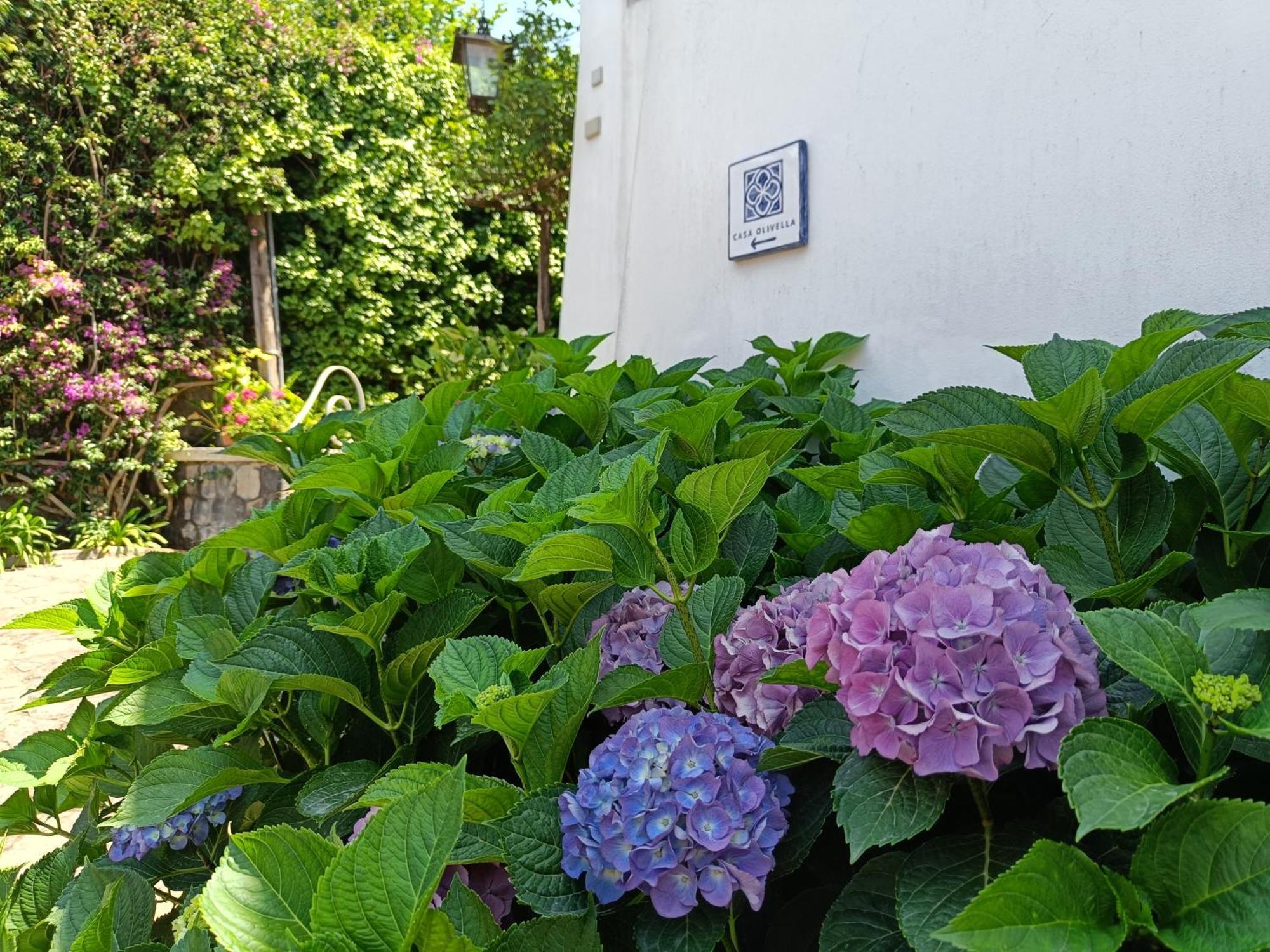 Casa Olivella Apartment ตอร์เรเดลเกรโค ภายนอก รูปภาพ